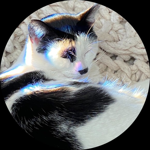 scarlettpaw